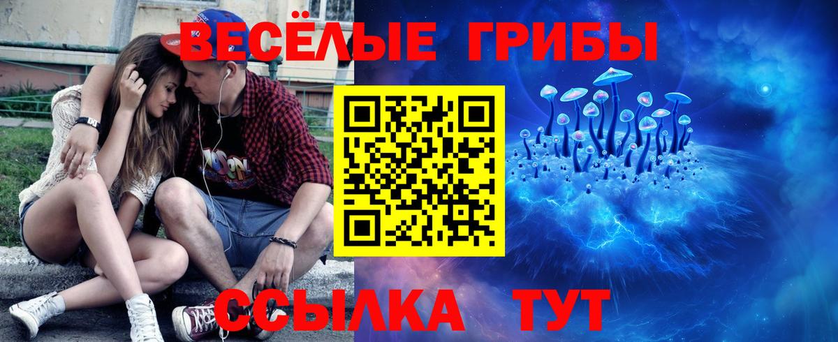 Павловский Посад  Псилоцибиновые грибы Psilocybe  Вход с VPN 